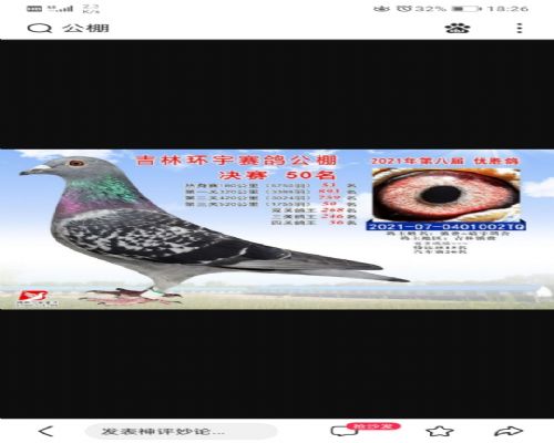 ����֮��������