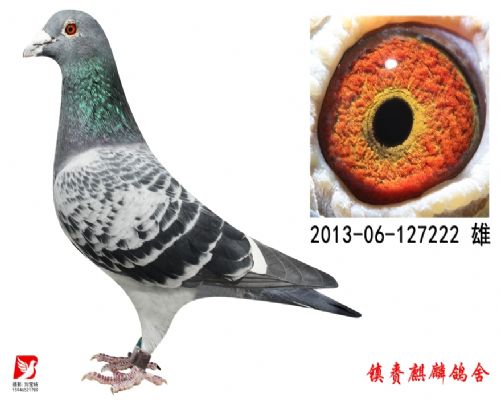 ����751ֱ��