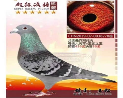 ����֮����������������