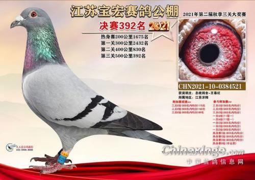 ���깫�����392λ