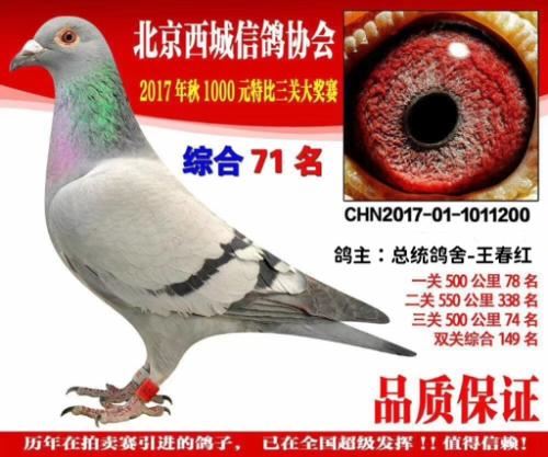 ���ظ���71λ