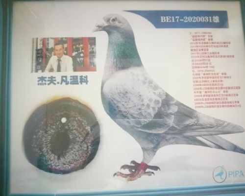 �ܷ�-���¿�