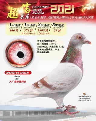 21�곬�ž���28��