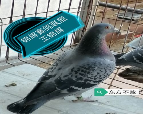 ������������