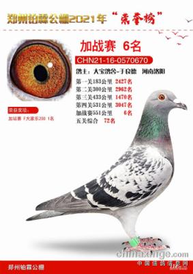 ֣�ݰ��ع����ǿ��6��