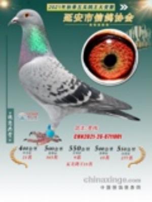 Э���ر�15��