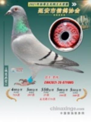 Э���ر�73��