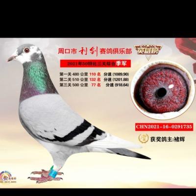 ���ظ�������