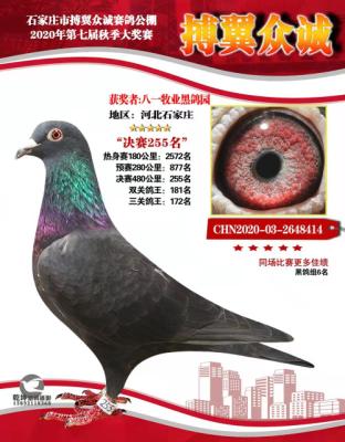 �����ڳϾ���255��