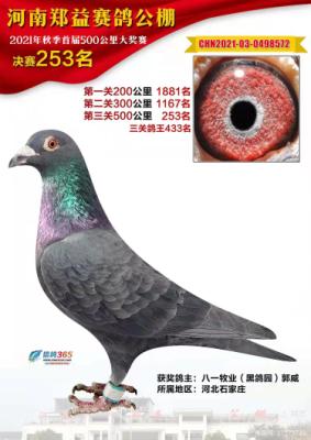 ֣�湫�����253��