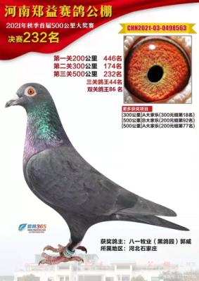 ֣�湫�����232��