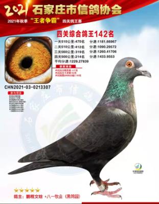 �л��ۺ�142��