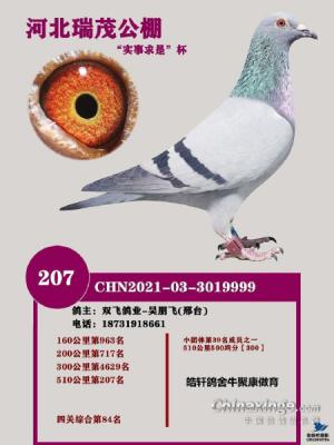 2021��ï