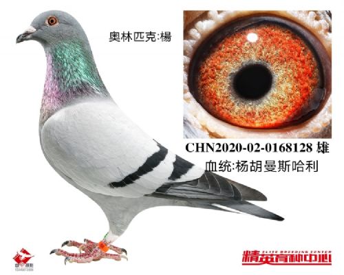 �����������˹����ƥ�˗�ֱ��