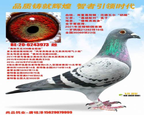 BE2020-6243973�� ��³��˹����