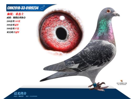 ˫�ظ����ھ�