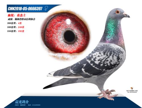 300����4��