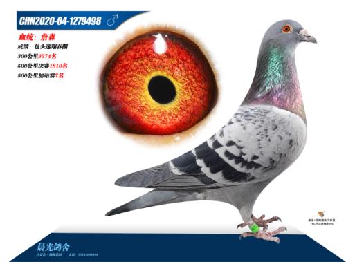 ���蹫���վ��7��