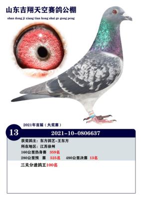 �������13��