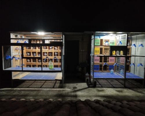 ����+�ָ�