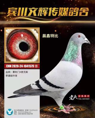 �������ָ����1