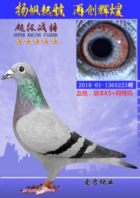 ����34��ĸ