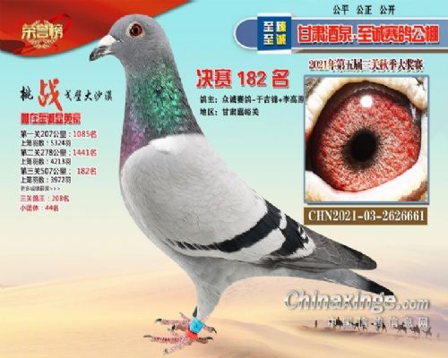 ���ܸ����ھ��亣��������