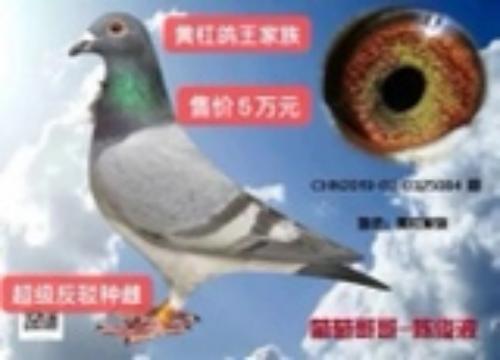 �Ƹܳ����ִ�