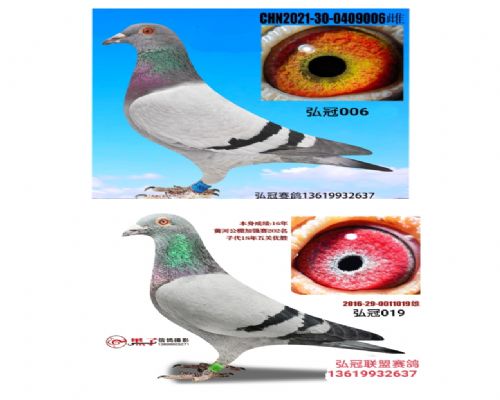 2022�ڶ����