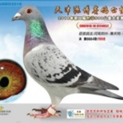 ���Դ�����빫��