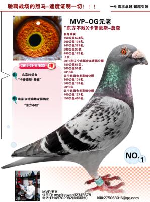 ���պ�˹-ղɭX��������