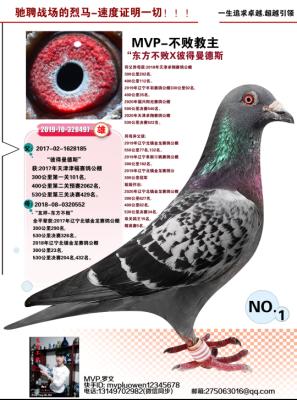 ���ܽ���