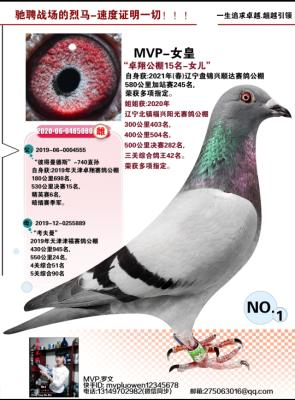 �˵�����˹X������