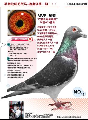 ��������ҡ�