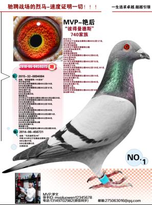 �˵�����˹X���˵Ͽ��