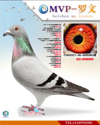 �˵�����˹