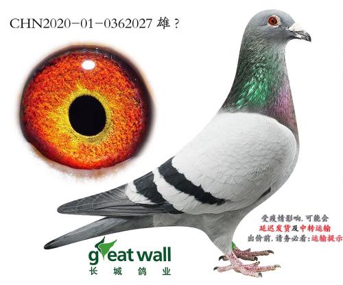 ���Ǹ�ҵ������