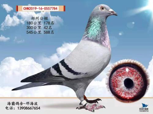 ���Կ�����