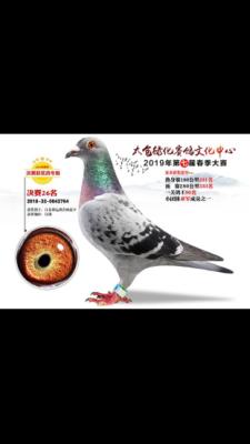 �¹�ֱ��X���ϴ�ֱŮ