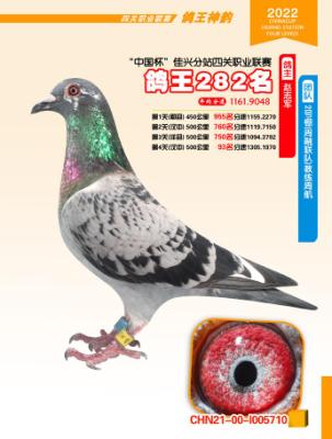 �Ĵ����˼������ۺ�282