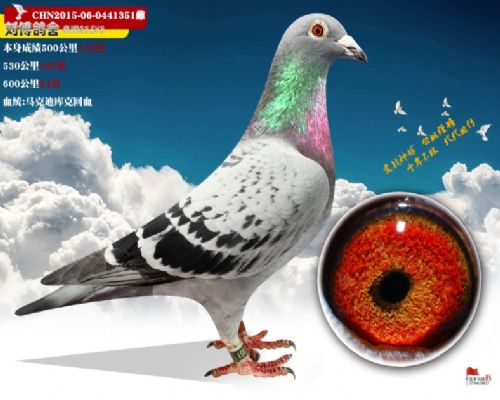 Ѫͳ:���˵Ͽ��