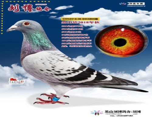 Ѫͳ:���˵Ͽ��