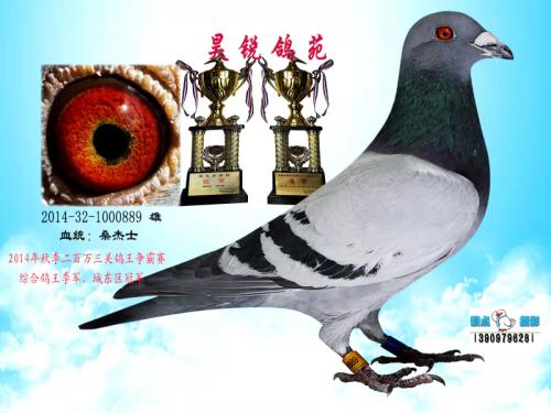 �ۺϸ���3��