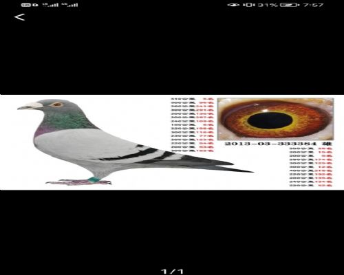 500����5��