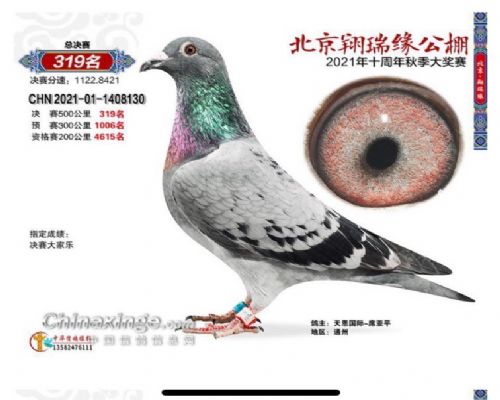 ��������Ե�������319��