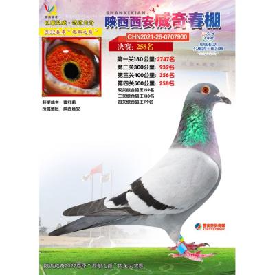 ���洺��258��