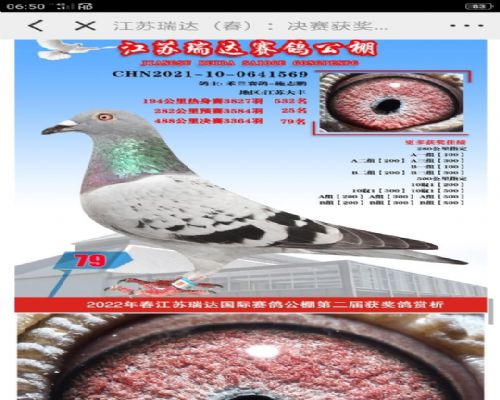 ����ս��039������Ů