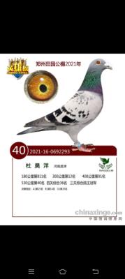 �����ھ�