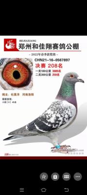 208�����Ե��Ĵ�