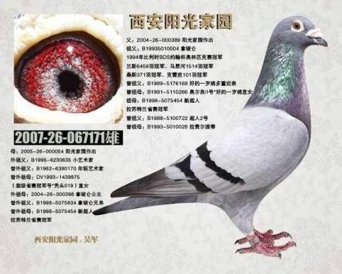 2007-26-067171����